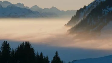 Does God Control All Things All the Time?