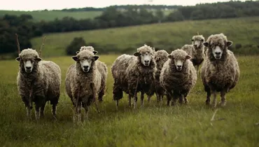 Local Atheist or Modern Pharisee — Who Is the Greater Threat?