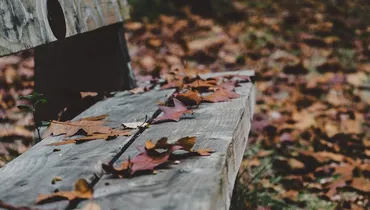 “My Life Feels Pointless”