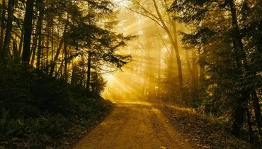 How Did Jesus ‘Learn Obedience’ and ‘Become Perfect’?