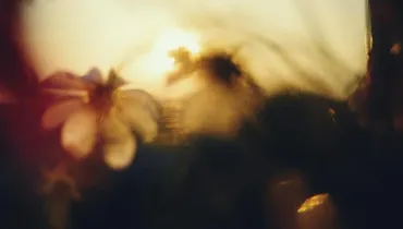 The God Who Breaks Us with Kindness