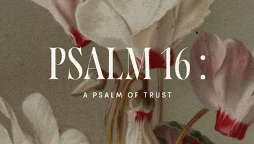 214. Psalm 16: A Psalm of Trust | Discover the Word Podcast