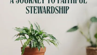 A Journey To Faithful Stewardship