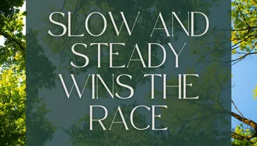 Slow and Steady Wins the Race