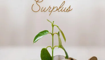 What to Do with a Surplus