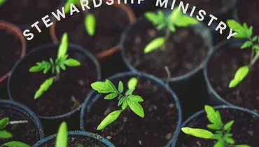 Starting a Stewardship Ministry With Leo Sabo