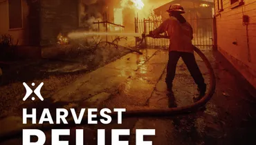 SoCal Fires UPDATE: What You Can Do to Help Rebuild