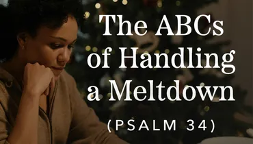 The ABCs for Handling a Meltdown, Ep. 2