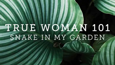 Snake in My Garden, Episode 1