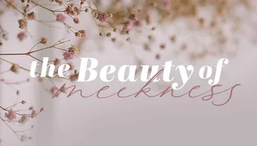 The Beauty of Meekness, Episode 4