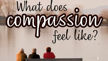What Does Compassion Feel Like? The Gospel Stories of Jesus' Compassion