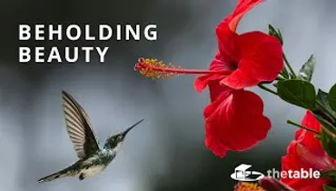 Beholding Beauty - Brian Chan