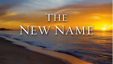 Platinum Collection: The New Name