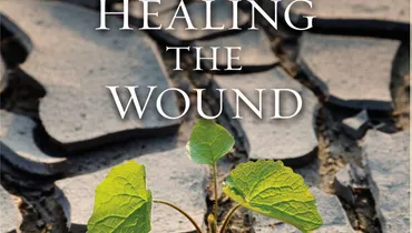 Platinum Collection: The Wound