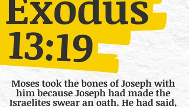 Holding Tight to Hope in Hard Seasons (Exodus 13:19) - "Best of The Year" Series
