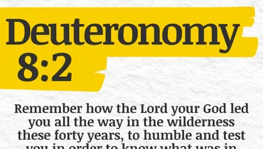 Fruitfulness in Wilderness Seasons (Deuteronomy 8:2) - "Best of the Year" Series