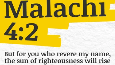 Living in the Son's Light (Malachi 4:2)