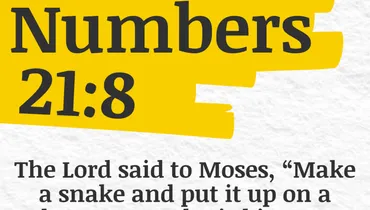 What's the Antidote to the Venom of Sin in Your Life? (Numbers 21:8)