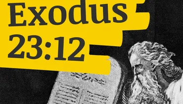 Replacing Anxiety and Fear with Radical Trust (Exodus 23:12)