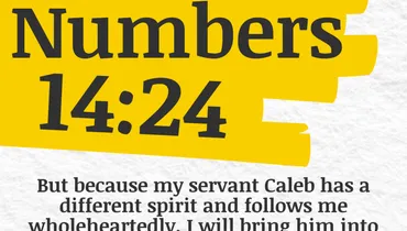 Believing God Against All Odds (Numbers 14:24)