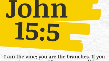 You Have One Job (John 15:5)