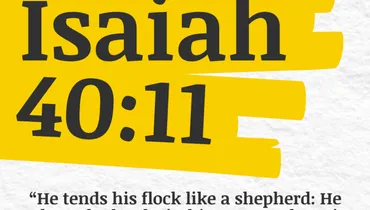 Understanding the Shepherd's Care for You - (Isaiah 40:11)