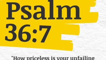 Finding Refuge in God Alone (Psalm 36:7)