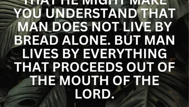 When Physical Needs Lead to Deeper Provision (Deuteronomy 8:3)
