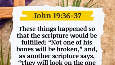 Lent - The Stabbing Pain Not Felt (John 19:36-37)