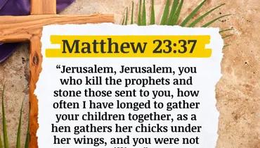 Jesus Laments Over Jerusalem (Matthew 23:37)