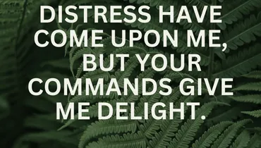 How to Find Joy in Stressful Times (Psalm 119:143)