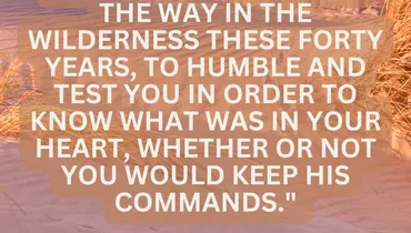 Fruitfulness in Wilderness Seasons (Deuteronomy 8:2)