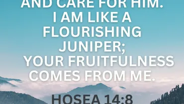 Finding Our Souls Satisfied in God Alone (Hosea 14:8)