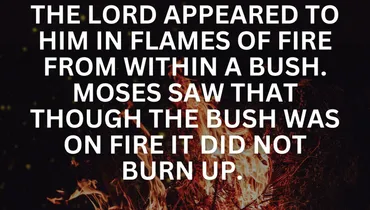 Where Are Bushes Burning in Your Life? (Exodus 3:2)