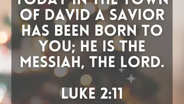 The Birth Announcement (Luke 2:11)