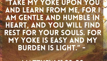 How to Have Lightness of Being (Matthew 11:29-30)