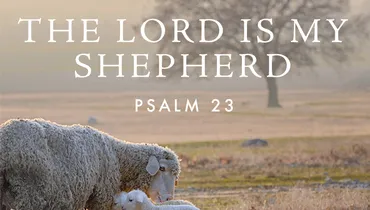 Six Powerful Verses