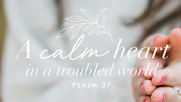 A Calm Heart in a Troubled World, Episode 2