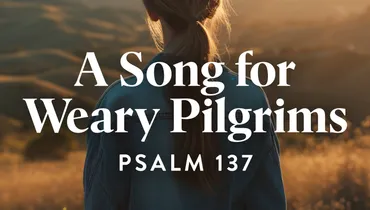 A Song for Weary Pilgrims