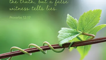 Twisting the Truth
