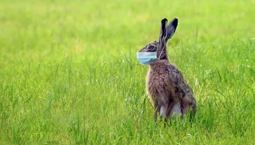 BETA19: Effective Easter Follow Up with Jeanette Yates