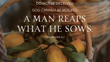 Reap What You Sow
