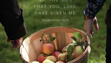 Overflowing Gratitude