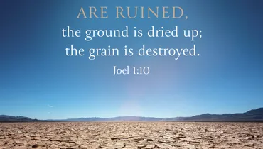Ruined Harvests