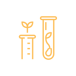 Seed technologies, seed improvement and gene editing