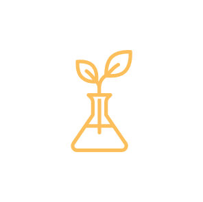 Agriculture for para-medical cosmetic products