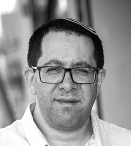 חנן גרינווד, ישראל היום