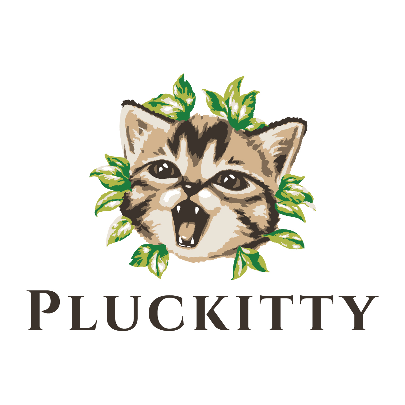 brand-logo