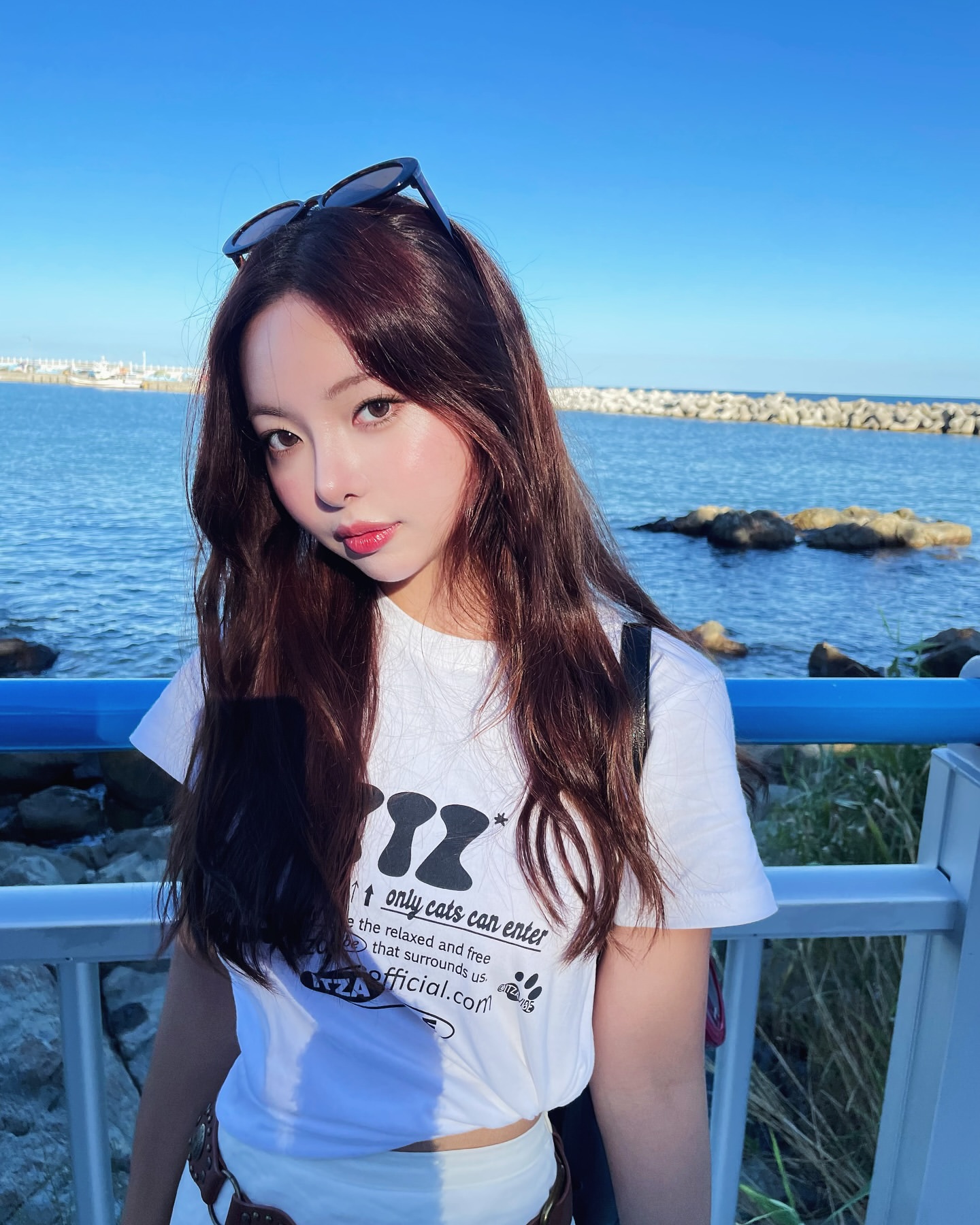 f10d607f-831a-447f-89ad-8e7e612d2b95.jfif