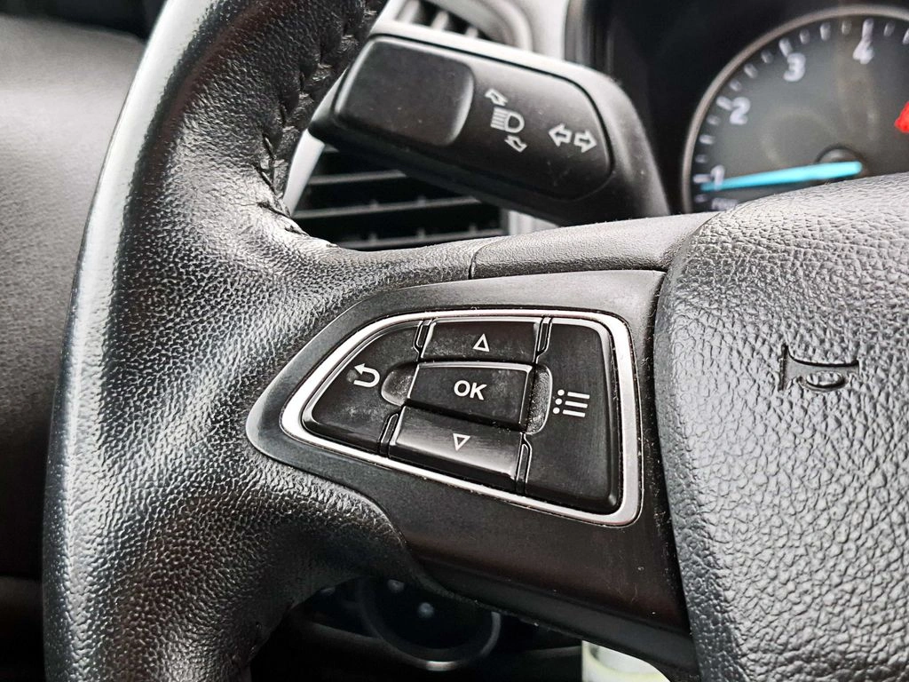 Ford Ecosport — foto 12 de 16